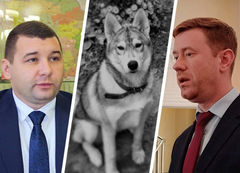 Эвакуация, издевательство над животными и наказание экс-министра: что волновало ставропольцев в конце марта