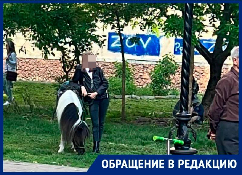 Торговцы пони возле детской площадки в Ставрополе возмутили родителей