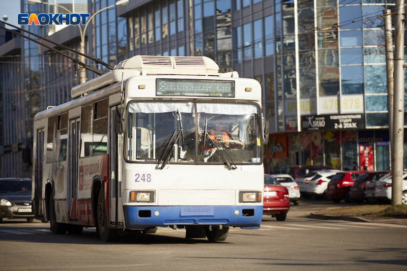 Кому полагается льготный проезд на общественном транспорте в Ставрополе?