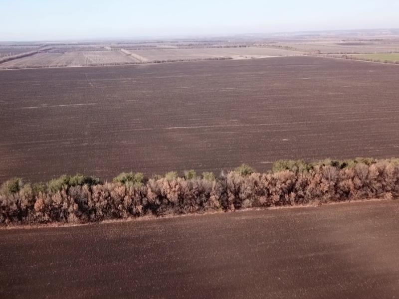 Больше 150 тысяч гектаров ставропольской земли не принесут урожая