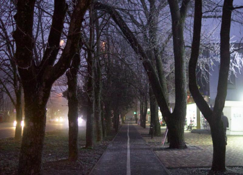 Туман, дожди и ночные заморозки пообещали на Ставрополье в последние январские дни