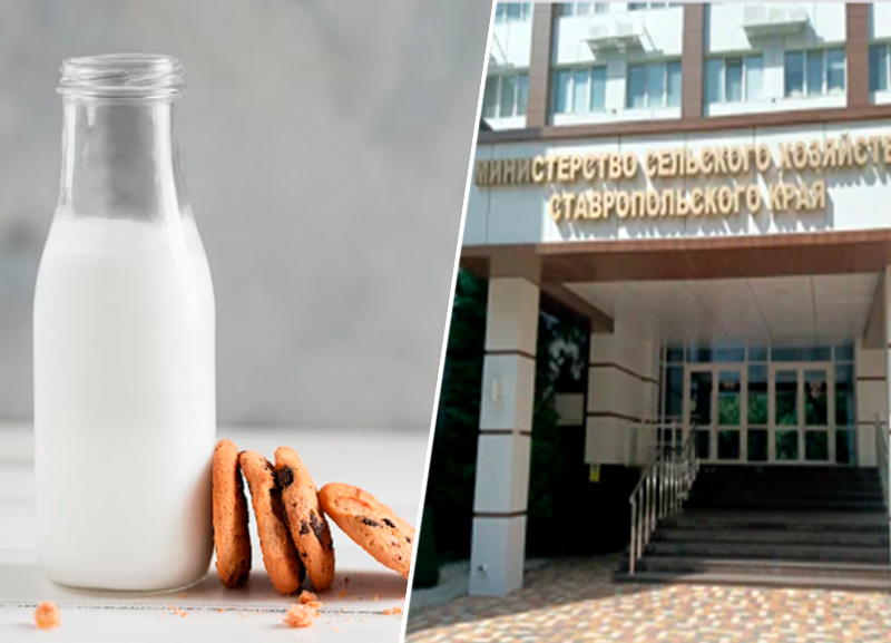 Минсельхоз Ставрополья пояснил за снижение закупочной цены на сырое молоко