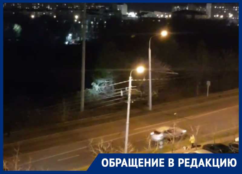 Деревья сносят бульдозером под покровом ночи в Ставрополе