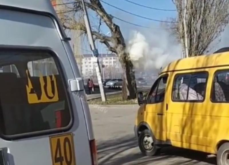 На одной из улиц Ставрополя загорелось дерево
