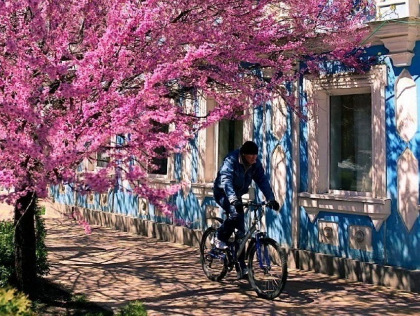 Тепло и легкий ветер ждут жителей Ставрополя 26 апреля 