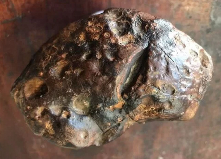 Метеорит или не метеорит, вот в чем вопрос: странный камень продают в Ставрополе за полмиллиона