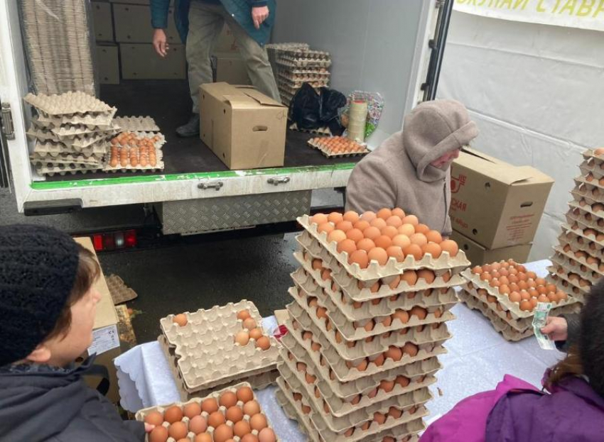 Дефицита нет: более 200 «яичных» ярмарок пройдет на Ставрополье 23 и 24 декабря