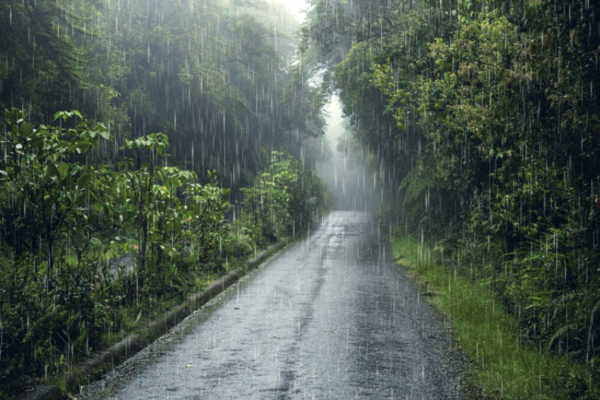 Грозы и сильные дожди разбавят 30-градусную жару на Ставрополье в выходные 