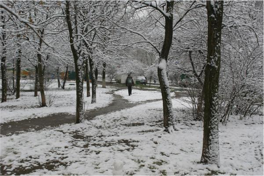 Снег и мороз прогнозируются на Ставрополье в ближайшие дни