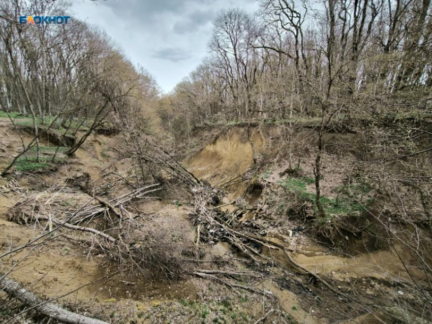 Землетрясение магнитудой 4,3 произошло в Ставропольском крае 