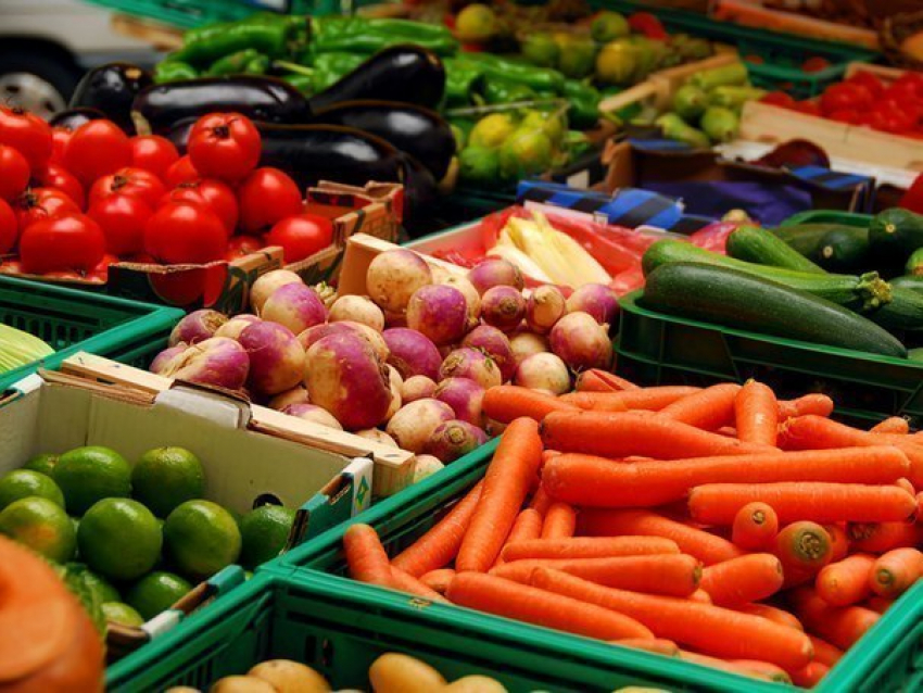 Казаки получат льготы при торговле своей сельхозпродукцией в Ставрополе