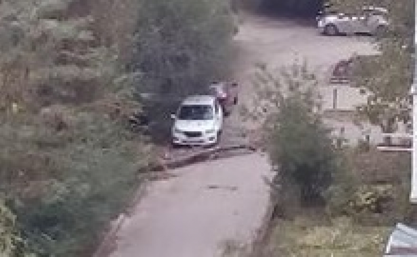 В элитном районе Ставрополя дерево едва не упало на автомобиль