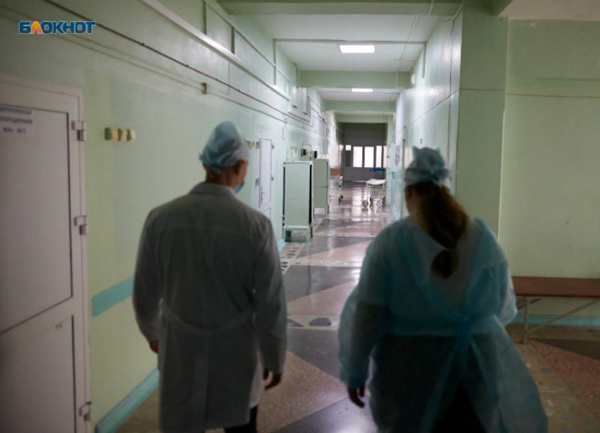 Бойцовские собаки загрызли 10-летнего мальчика в Ставрополе: ребенок в реанимации 