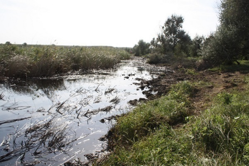Крупная утечка нефти в реку Ставрополья обойдется «Черномортранснефти» почти в 100 миллионов рублей