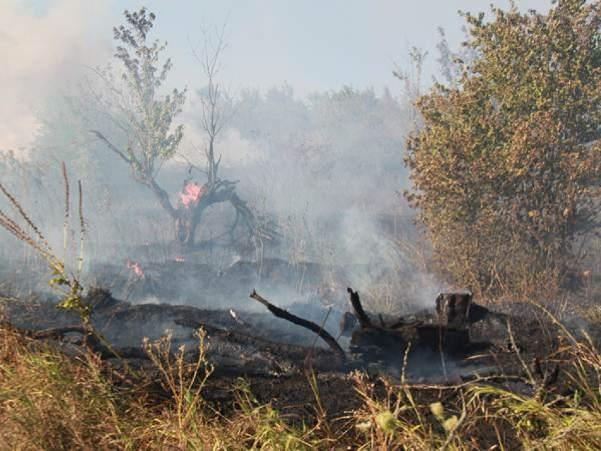 На Ставрополье пожар на пустыре едва не привел к возгоранию заправки и фермерского склада