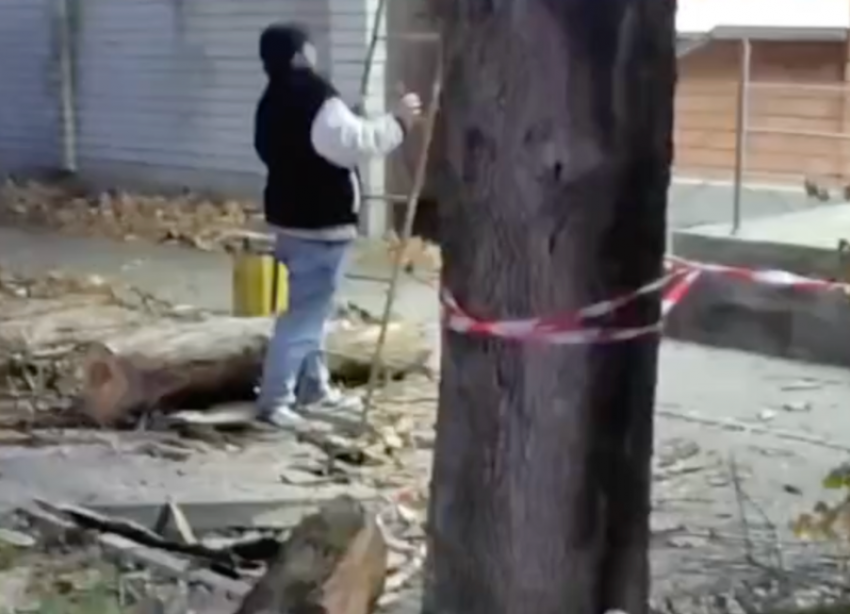 Ураганный ветер с порывами до 25 метров в секунду обрушился на Ставропольский край 