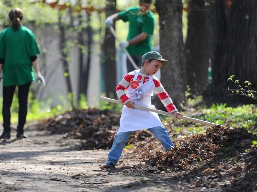 Ко Дню города любой желающий сможет очистить «розовую» улицу