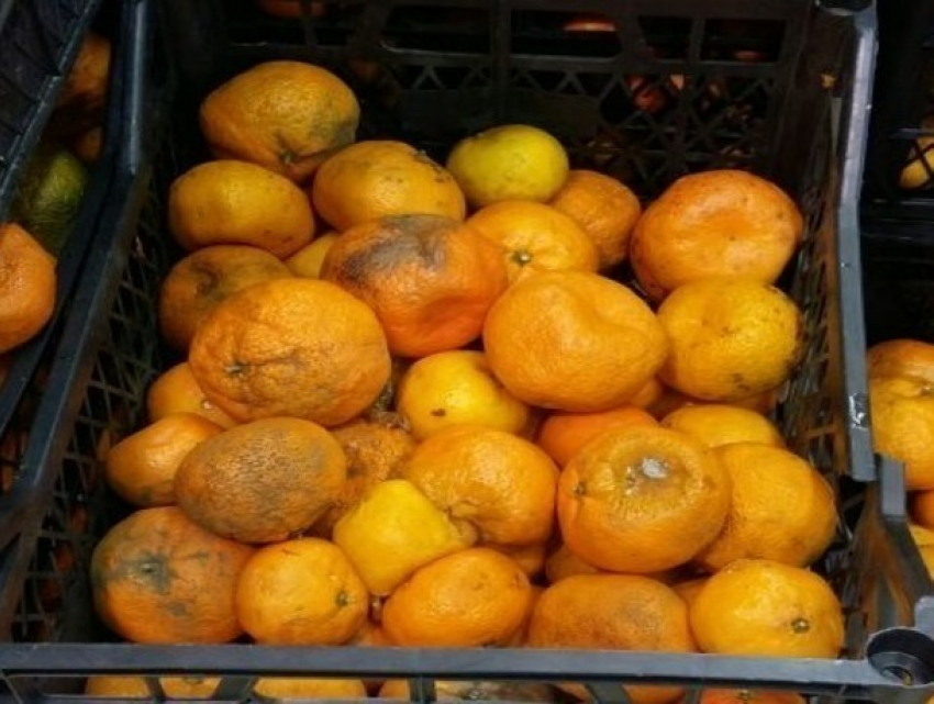  Гнилыми мандаринами хотели накормить покупателей в одном из сетевых магазинов Ставрополя