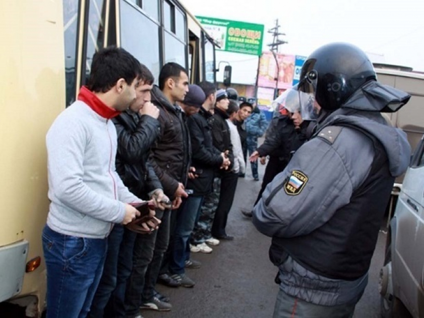 «В обход УМФС»: мужчины придумали ловкую схему легализации иностранцев на Ставрополье 