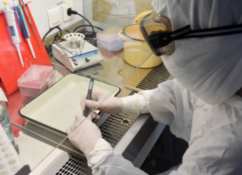 На Ставрополье появятся 5 лабораторий по распознаванию коронавируса