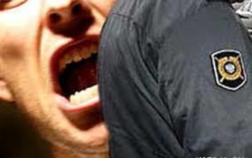 Пьяницу арестовали за оскорбление полицейских