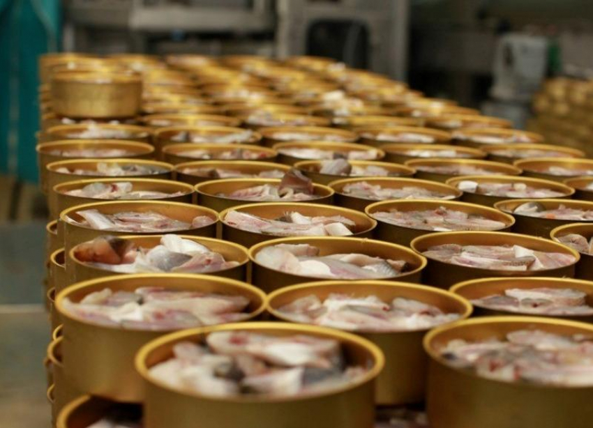 На Ставрополье появится завод рыбных консервов за 50 миллионов рублей