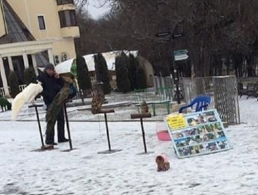 "Это ведь живодерство!": ессентучан возмутило использование животных для фотоаттракциона зимой
