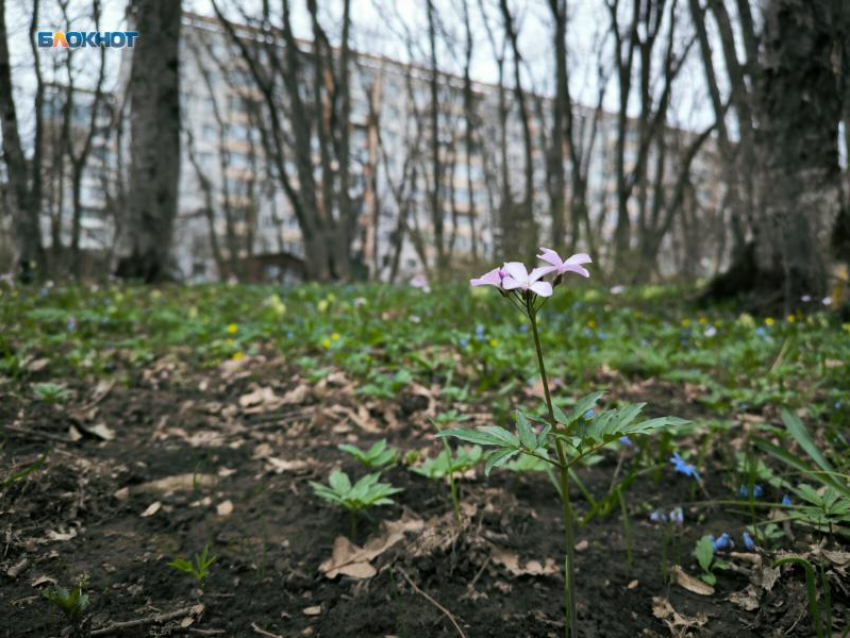 Похолодание до +7 градусов ночью и жара днем до +28 градусов ожидаются на Ставрополье 24 сентября 