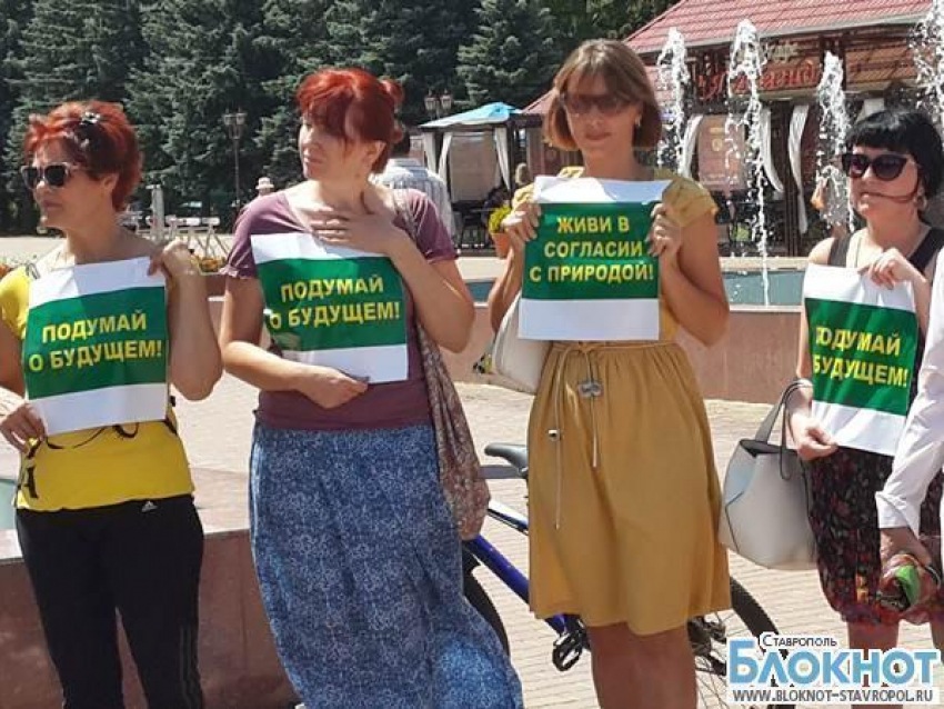 Суд Ставрополя отказал в иске защитникам Таманского леса