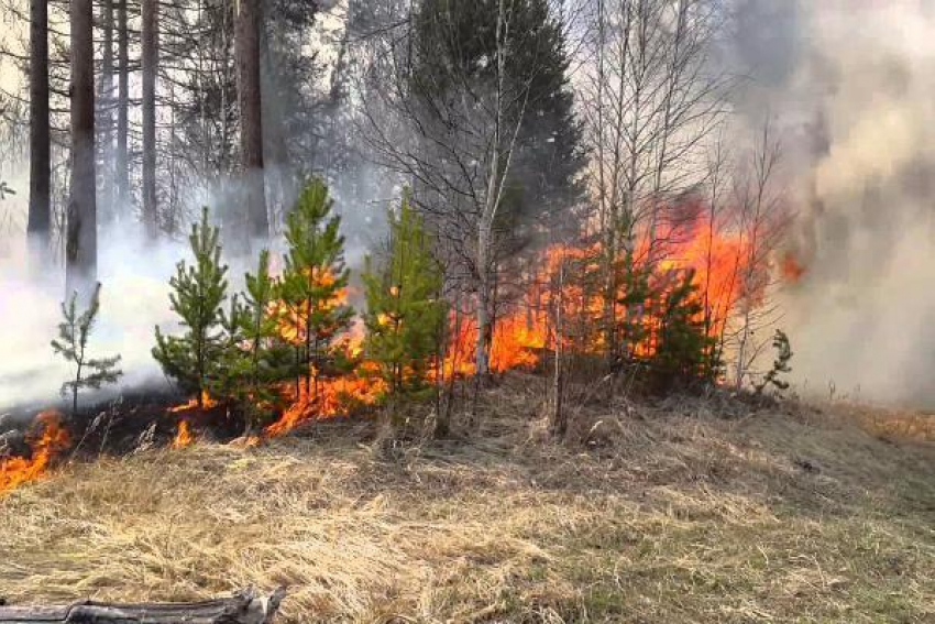 Жара не покинет Ставрополье в ближайшую неделю