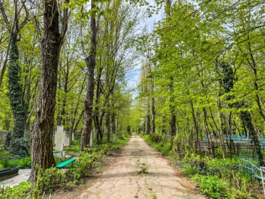 Принудительные работы на кладбище заставили ставропольца выплатить почти миллион рублей алиментов