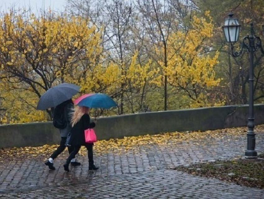 Ветреный и дождливый день ожидает жителей Ставрополья 17 октября