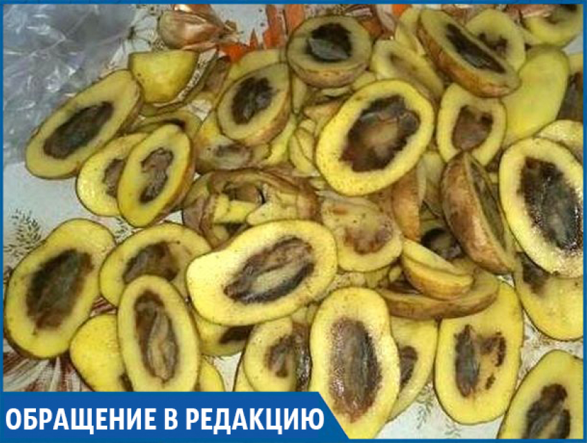 "Вот такой вот «свежий урожай» продают в известных магазинах» - жительница Михайловска