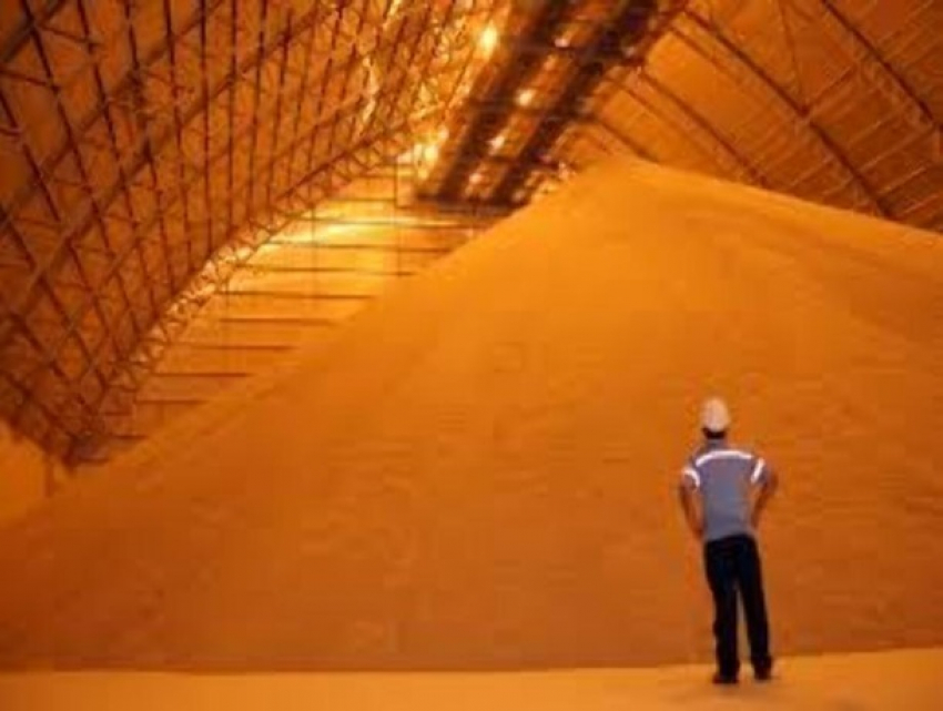 Построить новые заводы по переработке зерна предложат власти Ставрополья Турции