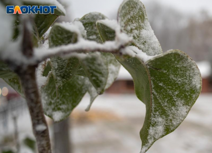 Погода в Ставрополе 22 декабря обрадует небольшим дождем и потеплением до +8