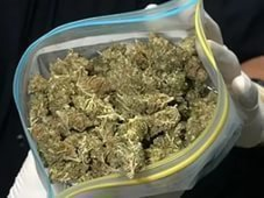 Житель Ставрополья перевозил 2 кг марихуаны в своем авто
