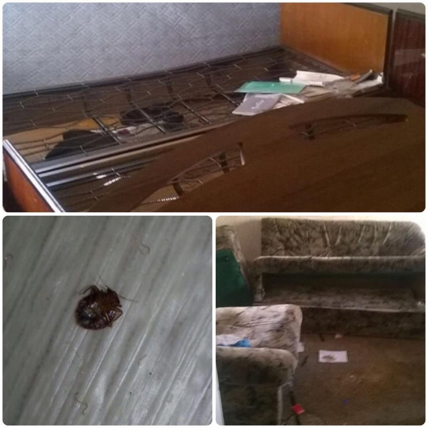 Клоповник в одной из квартир Пятигорска не дает жить семье пенсионеров