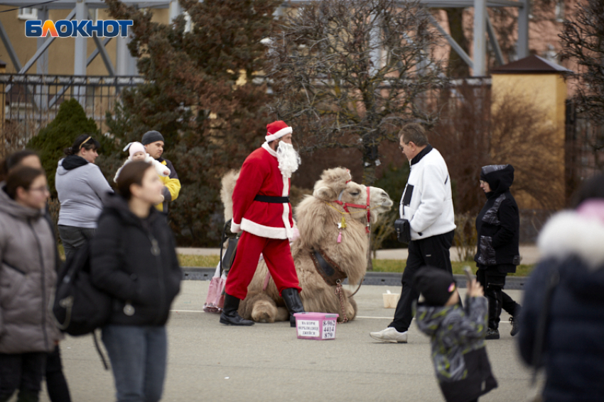 У ставропольцев 31 декабря в 2025 году станет выходным днем