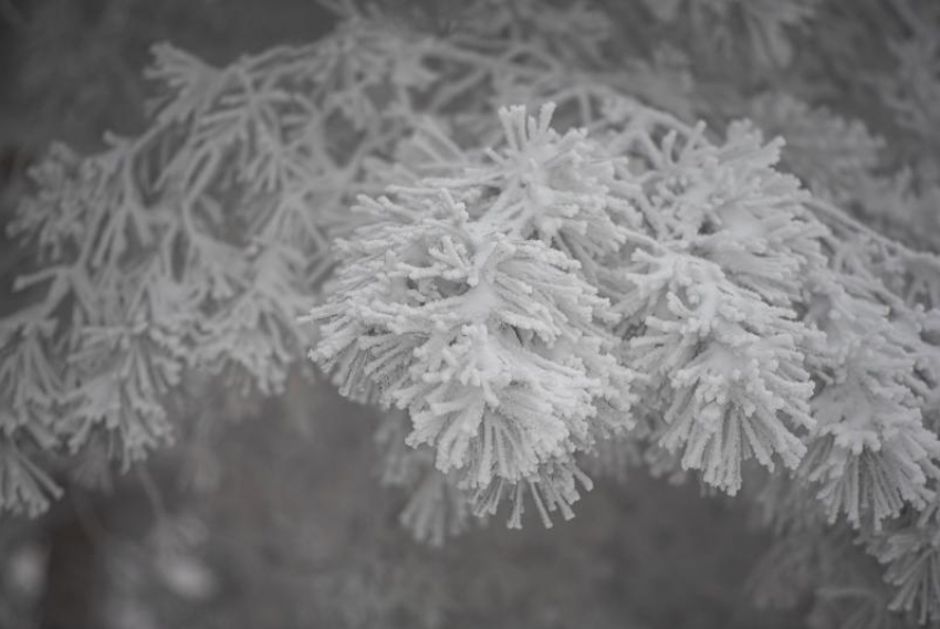 Какая погода в Ставрополе: снег с дождем и по ощущениям до –8 градусов 8 декабря