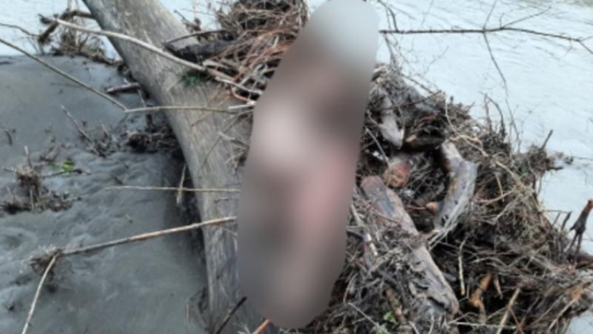 В Адыгее спасатели нашли тело туриста, ради которого в Хаджохской теснине рискнул жизнью ставрополец