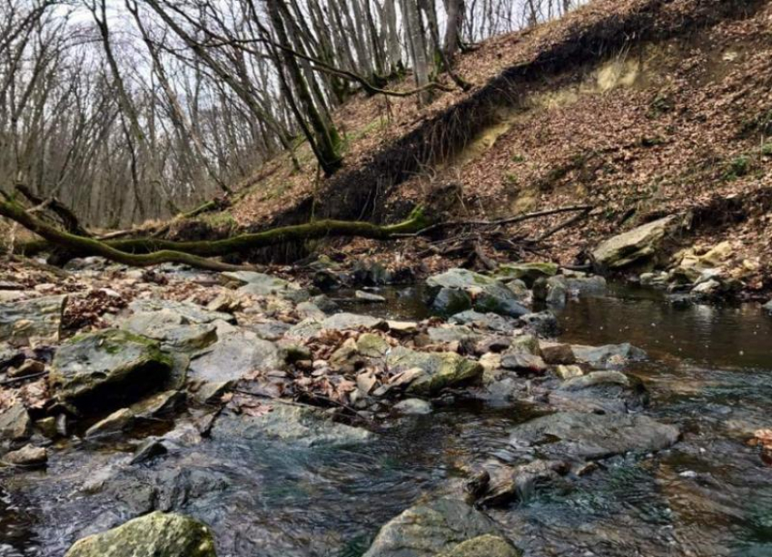 Не дай ставропольским рекам погрязнуть в мусоре 