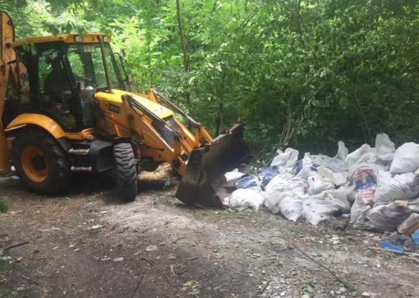 Три грузовика строительного мусора: лес Железноводска очистили от отходов