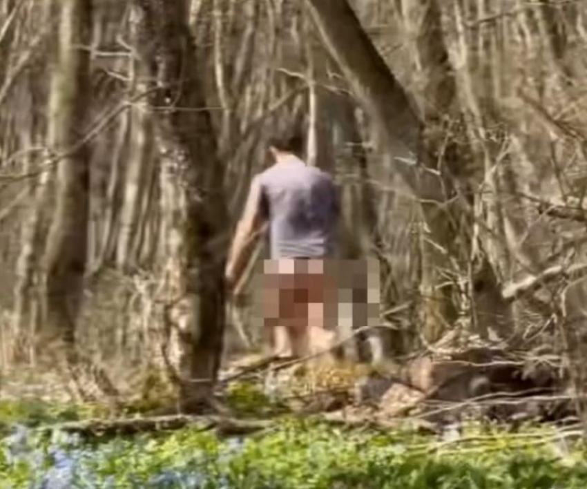 Жители Ставрополя заметили бегущего полуголого мужчину в лесу возле Комсомольского пруда
