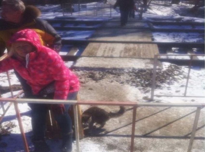 Женщина сломала ногу из-за разбросанных на ж/д путях камней и кусков льда в Пятигорске