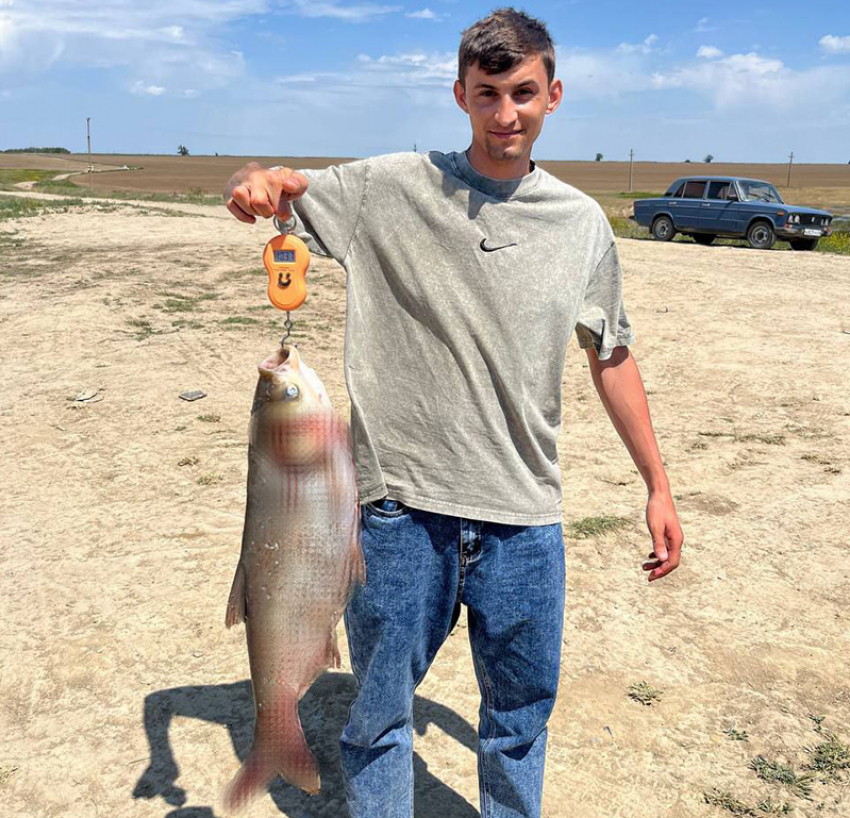 Рыбу-гиганта выловили из ставропольского пруда