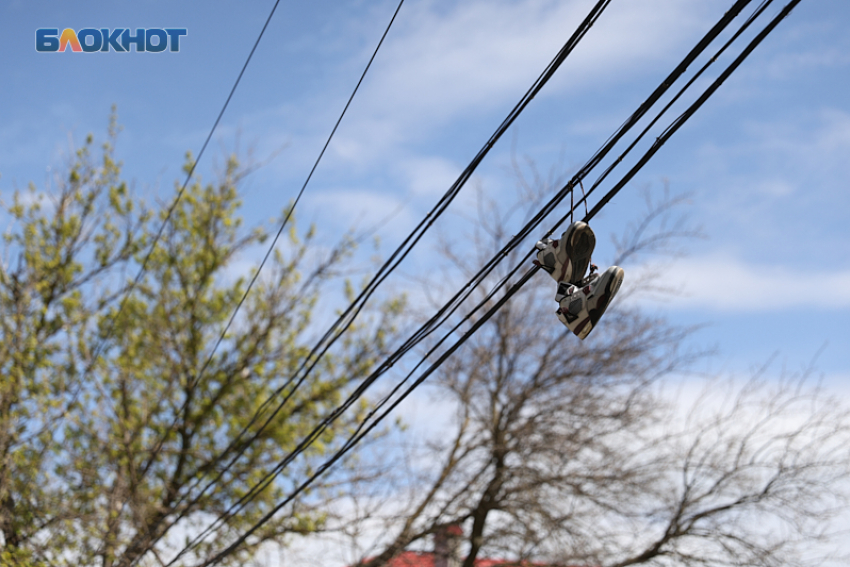 Туман утром и 19 градусов тепла днем пообещали синоптики Ставрополью 8 ноября