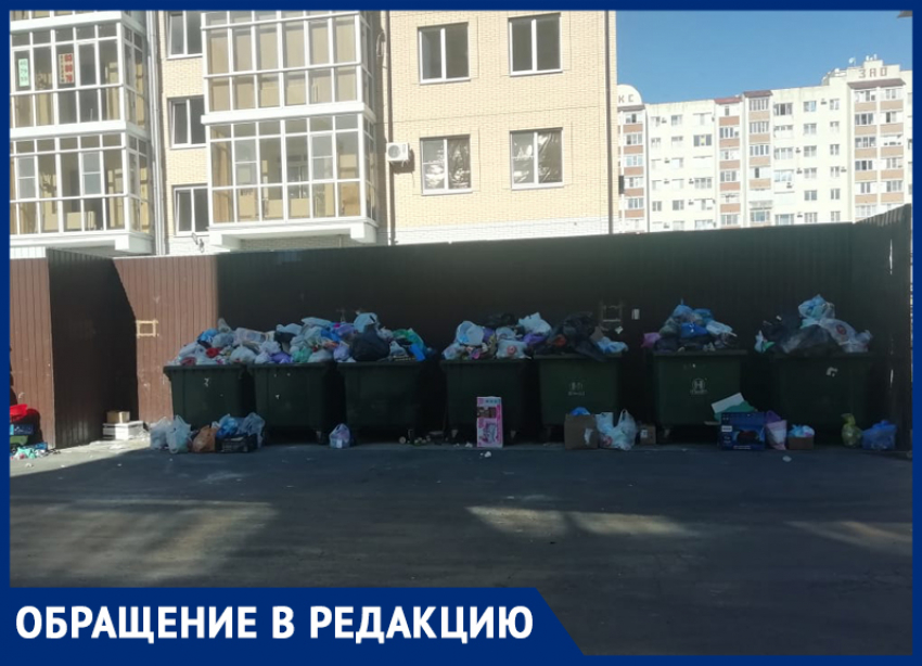 Мусорные контейнеры в одном из дворов Ставрополя стоят с нарушениями санитарных норм 
