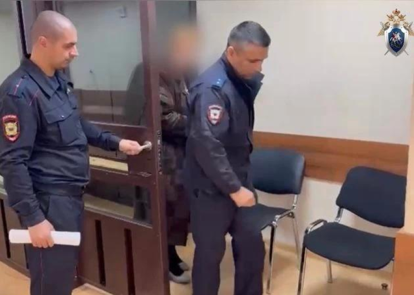 Зоозащитница получила 4 года колонии за отправленное порно искусанному собакой ребенку из Ессентуков
