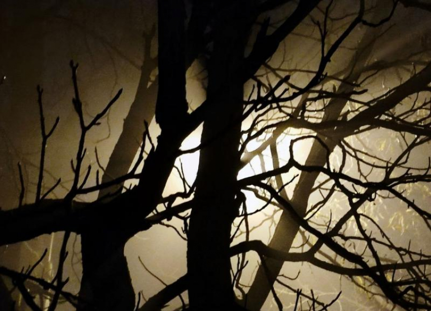 Известна погода в Ставрополе и крае на 15 ноября: густой туман и до +13 днем