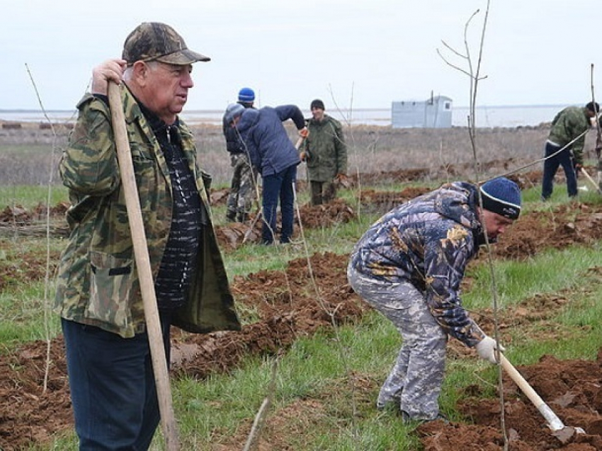 Доход ставропольских фермеров упадет на треть из-за высоких цен на топливо